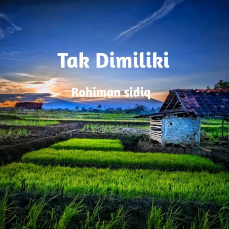 Tak Dimiliki cover art