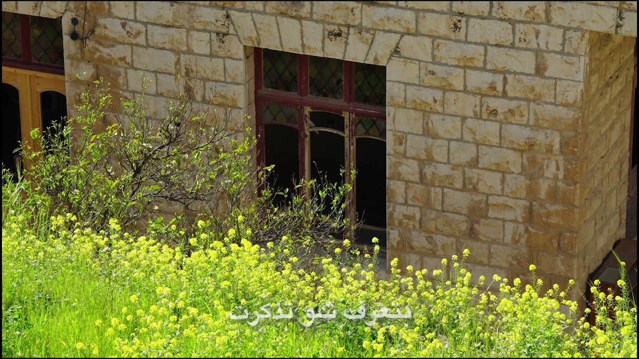 Never After - بتعرف شو فكّرت (Live in Amman 2023) cover art