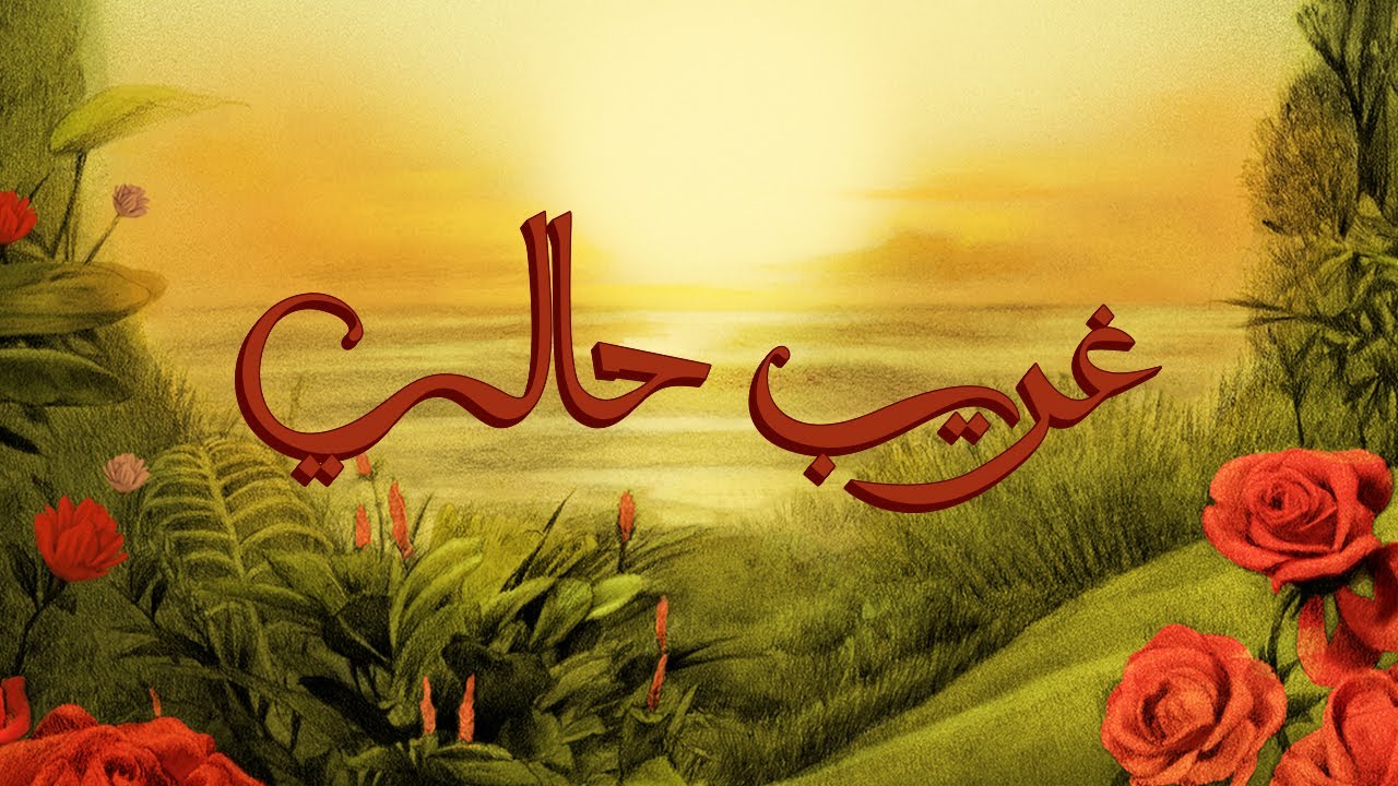 TUL8TE - Ghareeb Haly I تووليت - غريب حالي cover art