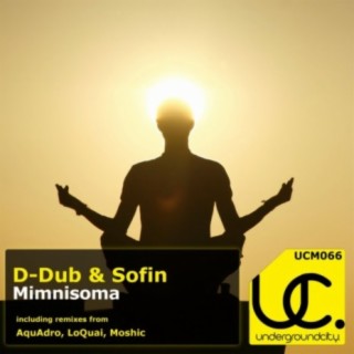Sofin