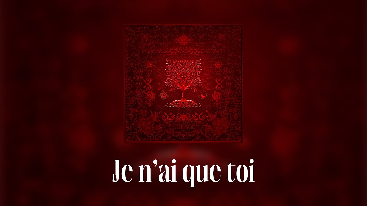 Dadju & Tayc - Je n'ai que toi (Lyrics video) cover art