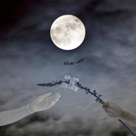 Silver Vein