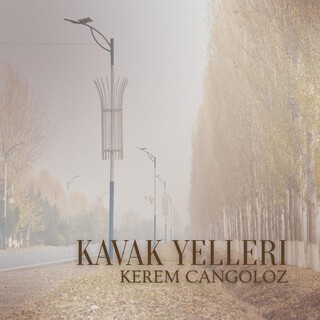 KAVAK YELLERİ cover art