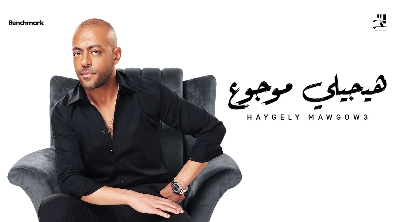 Tamer Ashour - Haygely Mawgow3 | تامر عاشور - هيجيلي موجوع cover art