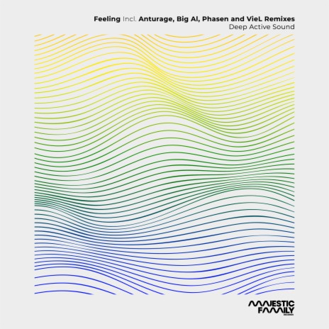 Feeling (Viel Remix) cover art