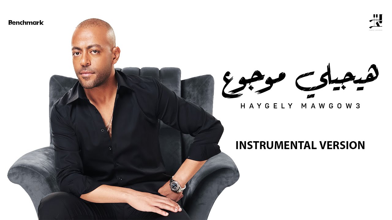 Tamer Ashour - Haygely Mawgow3 (Instrumental) | تامر عاشور - هيجيلي موجوع cover art