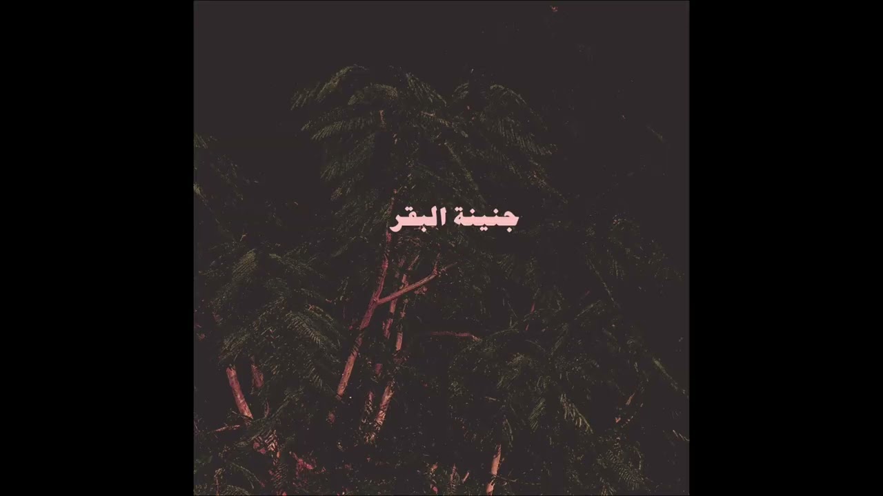 Hayati - حياتي