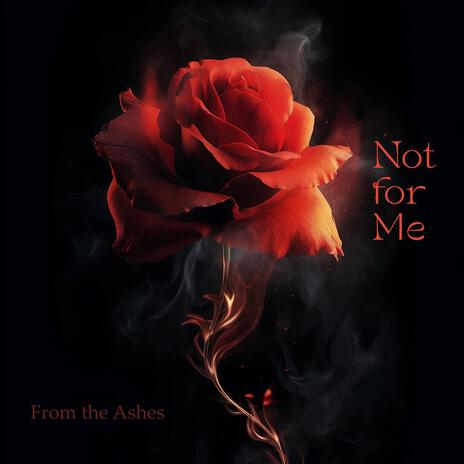 Not for Me cover art