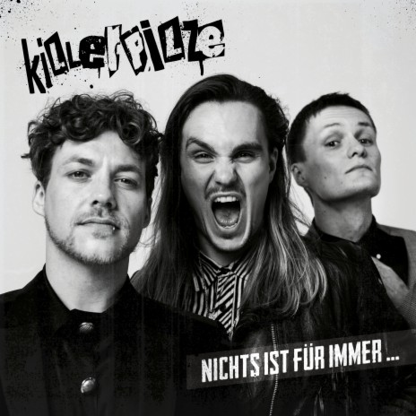 Wie Fremde cover art