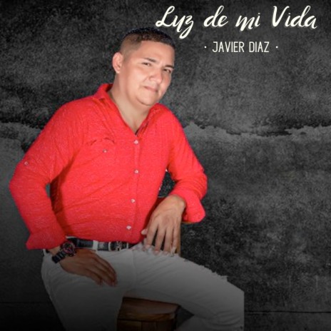 Luz de Mi Vida cover art