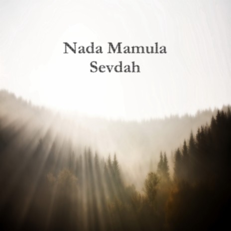 A Sto Cemo Ljubav Kriti cover art