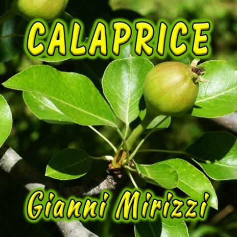 Calaprice cover art