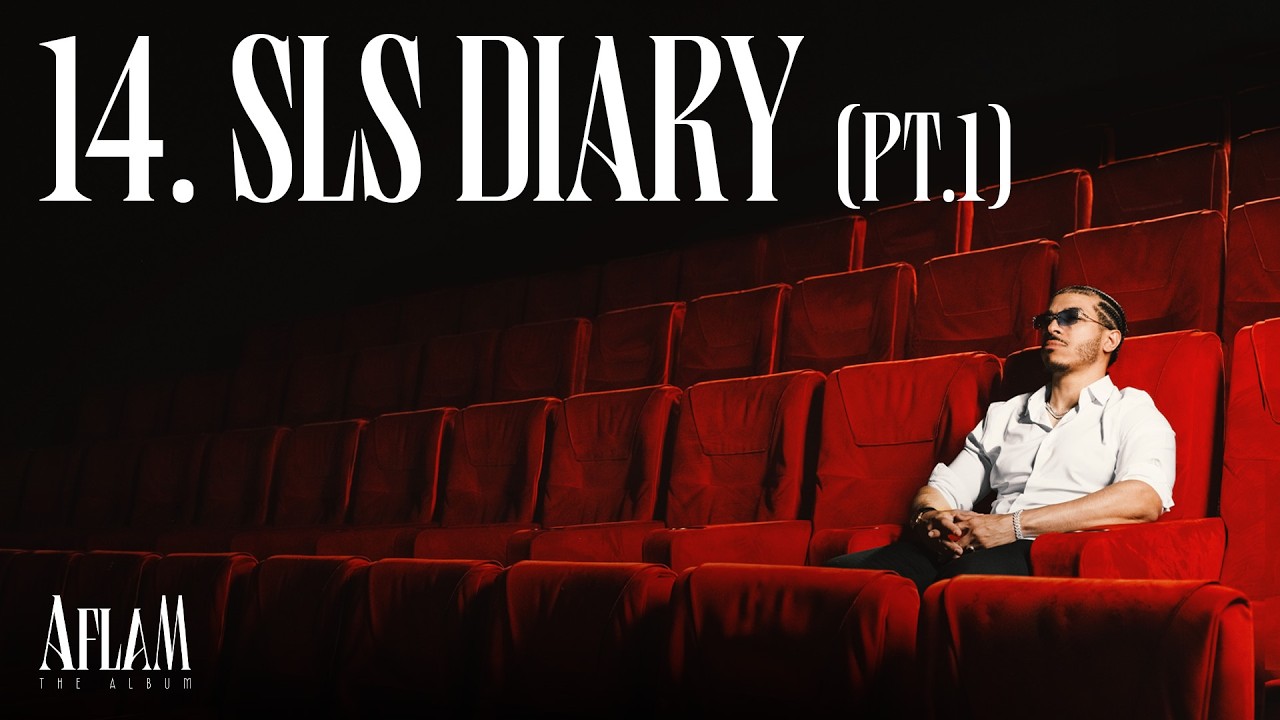 14 - Dizzy DROS - SLS DIARY (Pt. 1) cover art
