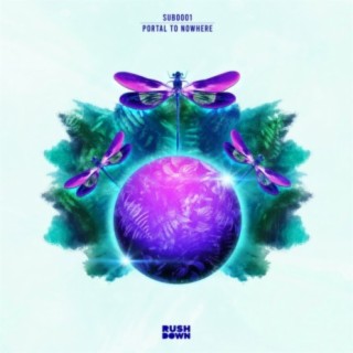Portal To Nowhere cover art