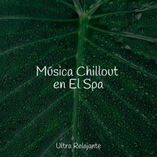 Música Chillout en El Spa