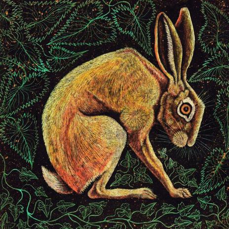 The Tortoise and The Hare cover art