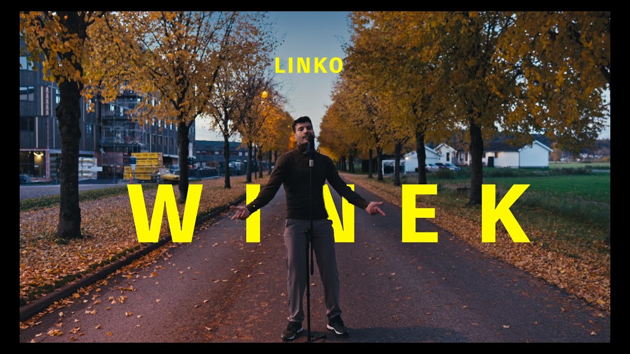 Linko - Winek (solo take 2) cover art