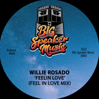 Feelin Love (Feel In Love Mix) cover art
