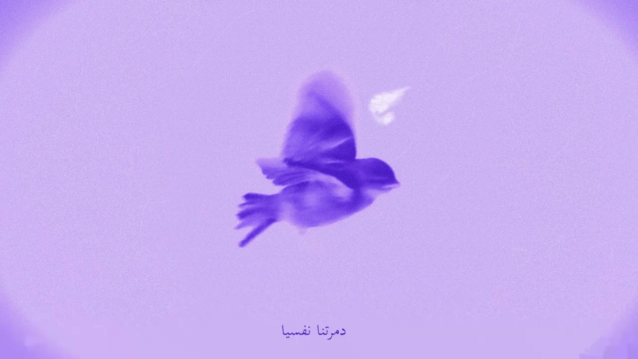 Abo El Anwar - 3amal A7kylek (Official Audio) | اغنية عمال احكيلك cover art