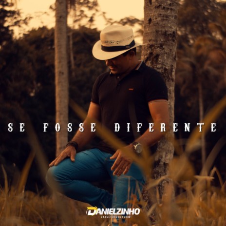 Ciúme Bobo cover art