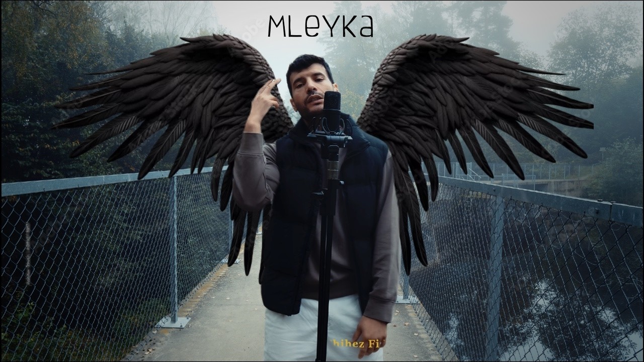 LiNKO - Mleyka (Solo take 1) cover art