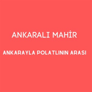 Ankarayla Polatlının Arası