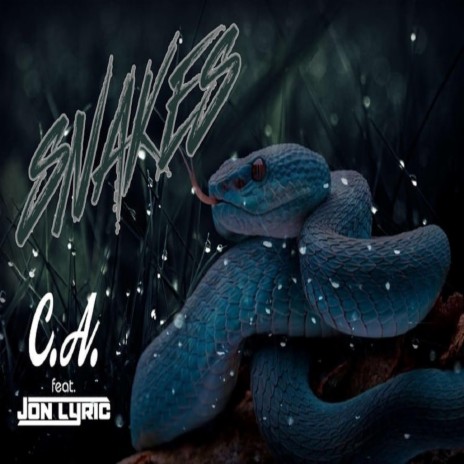 Snakes (feat. Jon Lyric) cover art