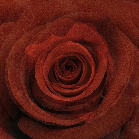 Promise cover art