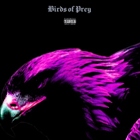 Birds of Prey cover art