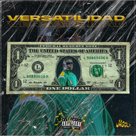 Versatilidad cover art