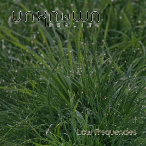Low Frequencies cover art