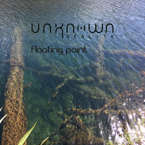 Floating Point cover art