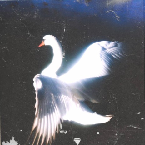Dreams cover art