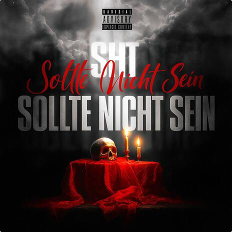 sollte nicht sein cover art