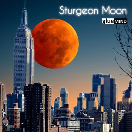 Sturgeon Moon cover art