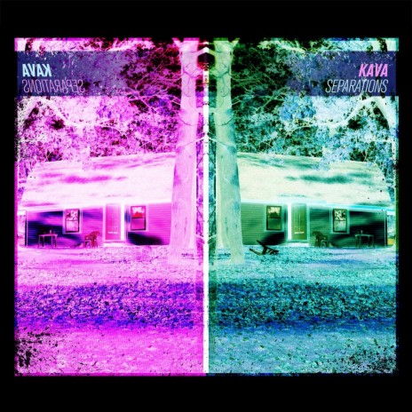 Observe and Destroy (Saturday 15) cover art