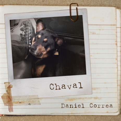 Cumbia del Sistema cover art