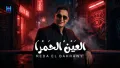 Reda El Bahrawy