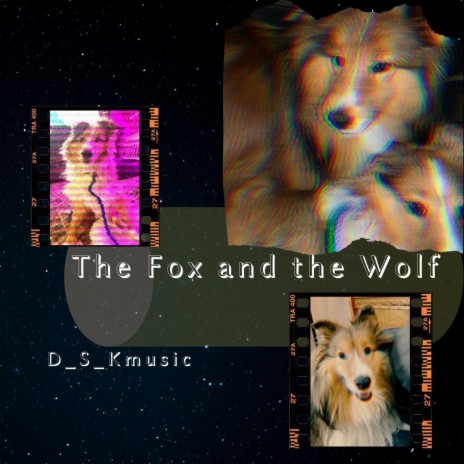 Sturdy Wolf cover art