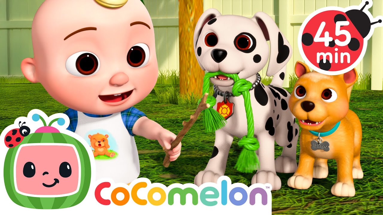 Puppy Playdate Buddies! | CoComelon | Sing Along | Learn about Animals cover art