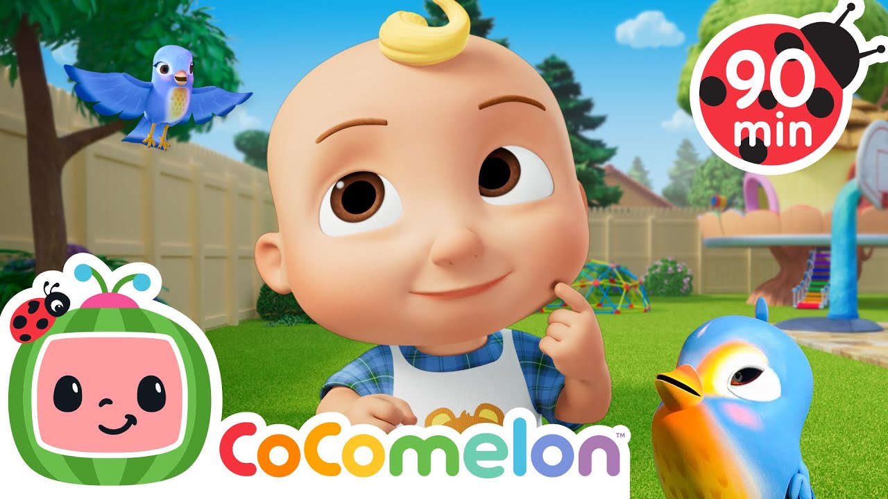 Itsy Bitsy Birdie! | CoComelon | Sing Along | Learn about Animals cover art