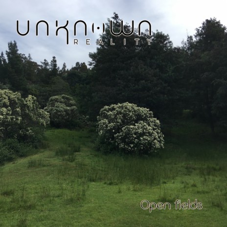 Open Fields cover art
