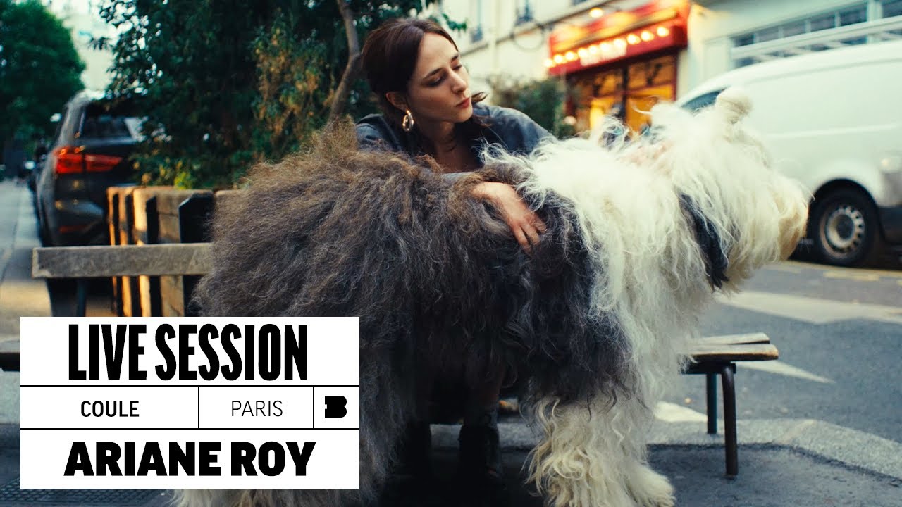 Ariane Roy - Coule | Live Session cover art