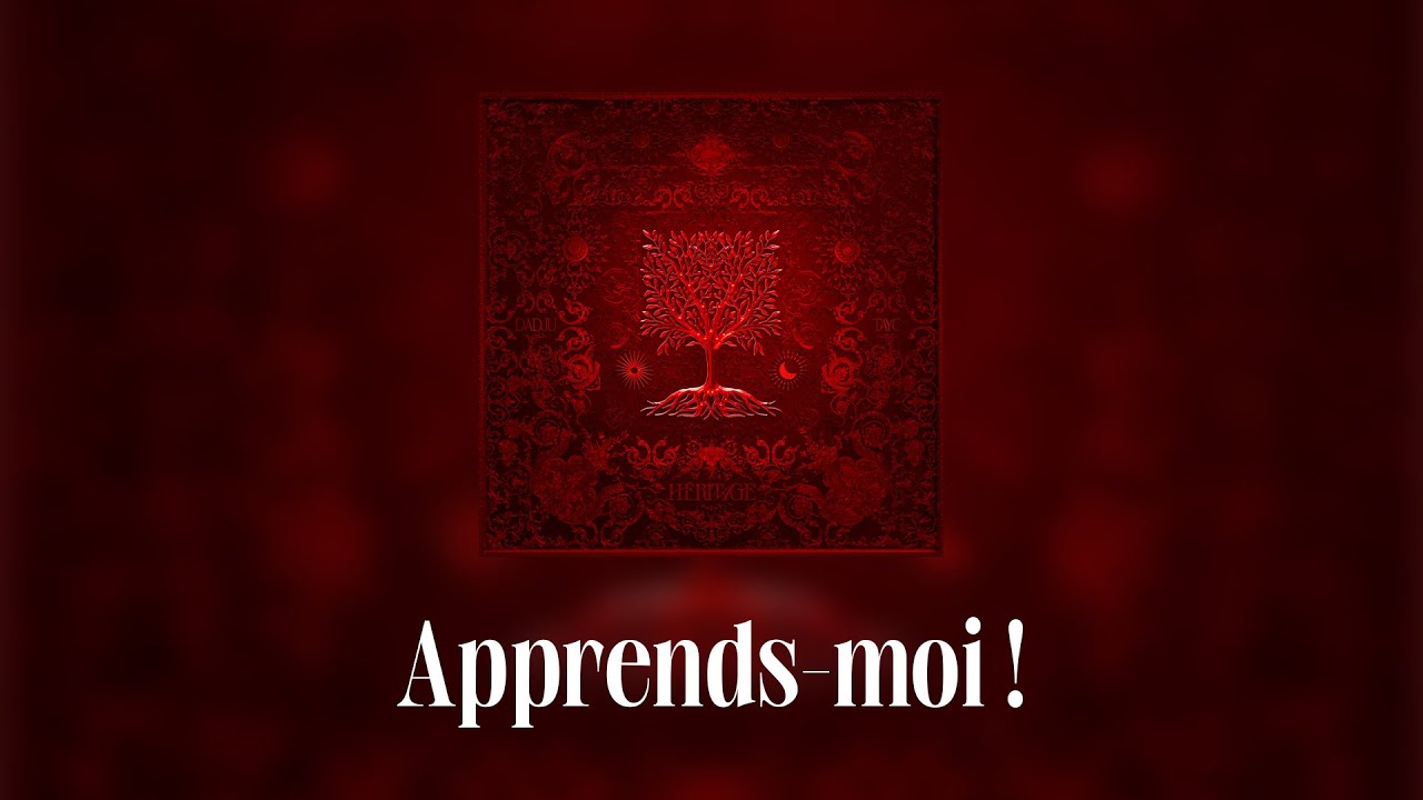 Dadju & Tayc - Apprends-moi ! (Lyrics video) cover art