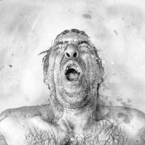 Where Flies Sleep cover art