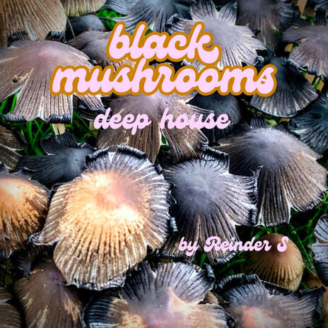 Black Mushrooms part E. cover art