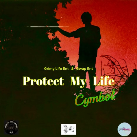 Protect My Life cover art