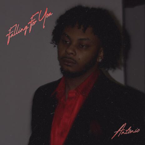 Falling For You cover art