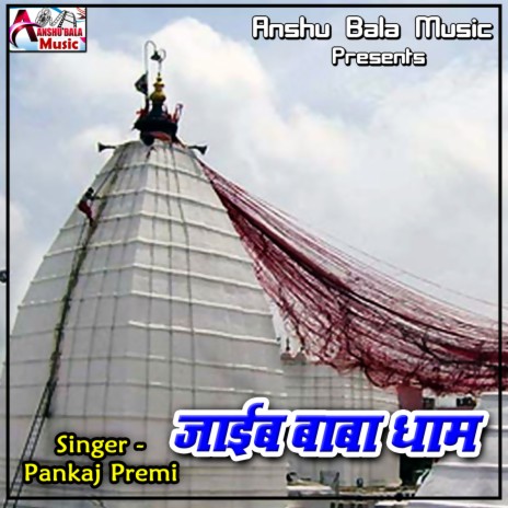 Jaib Baba Dhaam cover art