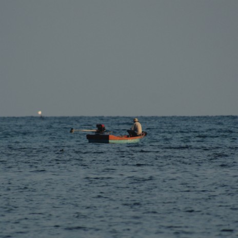 55 cover art